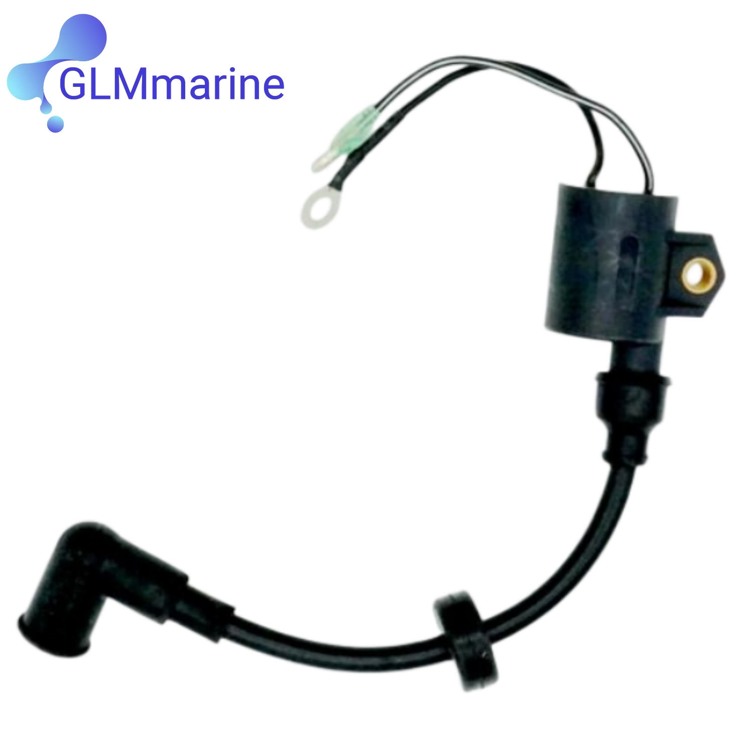 2 Pcs Ignition Coil Assy 61N-8 - Spark Plug ulasan dan harga